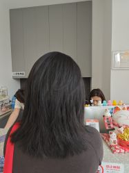 -世田造型