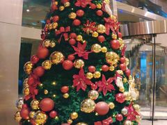 -上海锦江汤臣洲际大酒店壹阶层