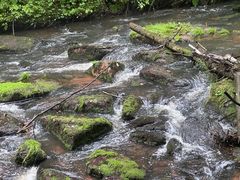 -汤旺河林海奇石景区