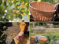 -苏州市吴中区光福窑上花果蜜饯厂