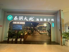 门面-春润大地海南椰子鸡(沙井京基百纳广场店)