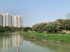 -广东花都湖国家湿地公园
