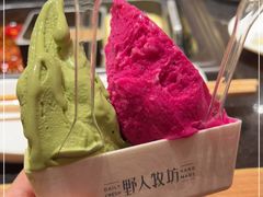-野人先生现做冰淇淋(西安赛格店)