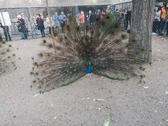 -长白岛森林公园