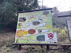 -岚山猴子公园