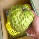 良心推荐，最正宗好吃的释迦果