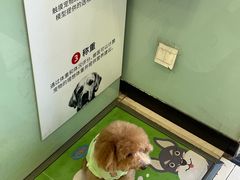 -悦宠凯宝动物医院·牙科·皮肤科(朝阳北路店)