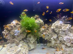 -沈阳海洋探索中心