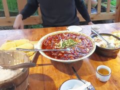 -青城甲(青城山店)