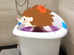 -清远熹乐谷温泉度假酒店