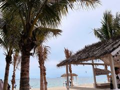 -玫瑰海岸文化旅游度假区