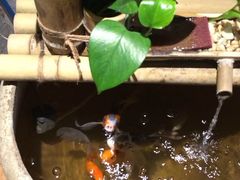 -立山居酒屋·烧鸟 天妇罗(西北湖店)