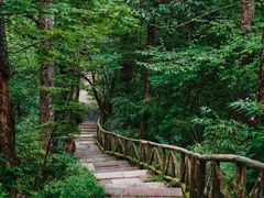 -龙苍沟森林公园