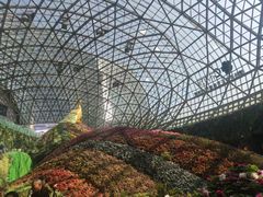 -花之城