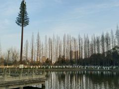 -沙市市中山公园
