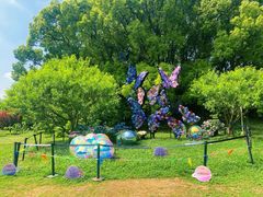 -上海共青森林公园