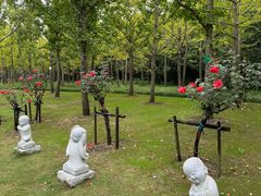 -狼山风景名胜区