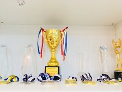 -乐博乐博少儿编程·机器人编程·信息学竞赛(杨浦五角场校区)