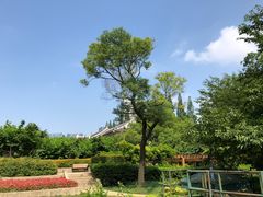 -复旦大学光华楼