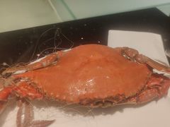 -东方红海鲜百汇(国际大厦店)