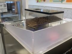 -CoCo都可(汉神购物广场店)