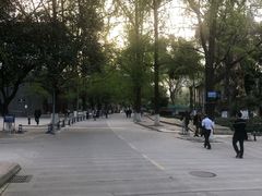 -四川大学(华西校区)