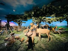 -国家自然博物馆