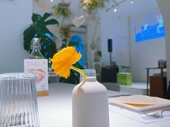 -春树下·树屋花房西餐厅(罍街AS1980店)