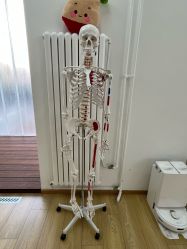 点击看大图 -初练产后康复