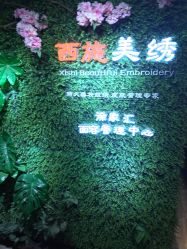 -西施无菌半永久纹绣眉眼影唇轻增发纹发际线