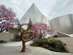 -华特·迪士尼音乐厅