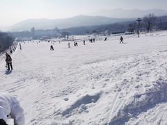 -神鹿雪场