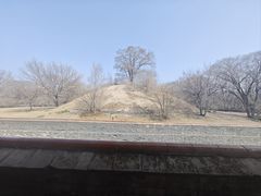 -北陵公园