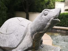 -徂徕山森林康养度假谷温泉