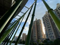 -深圳市宝安体育中心体育场