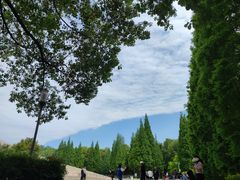 -金沙遗址博物馆
