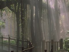 -青青世界