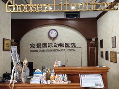 -宠爱国际动物医院· 猫科· 外科·中兽医(长白店)