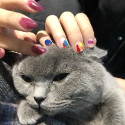 -Touch Nail·品质·美甲美睫