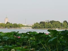 -长春市南湖公园