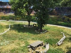 android_upload_pic-西安秦岭野生动物园