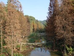 景点-云溪植物园