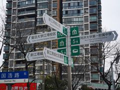 -新江湾城公园