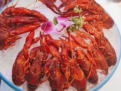金牌冰镇龙虾-舞虾小说.涮肉.烧烤(国顺东路店)