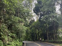 -火炉山森林公园