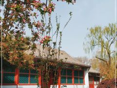 -海棠花溪(元大都城垣遗址公园)