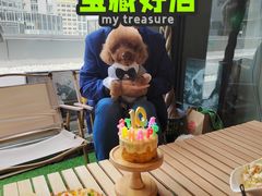 -百好乐宠物友好餐厅(朝外大街店)