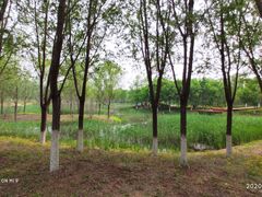 -东郊湿地公园