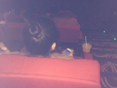 -龙之星国际影城(太平店)