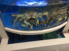 水产区-阳光海鲜城(太仓万达店)